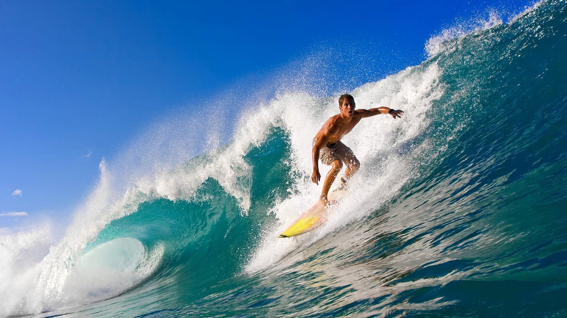 NBA球迷关注焦点