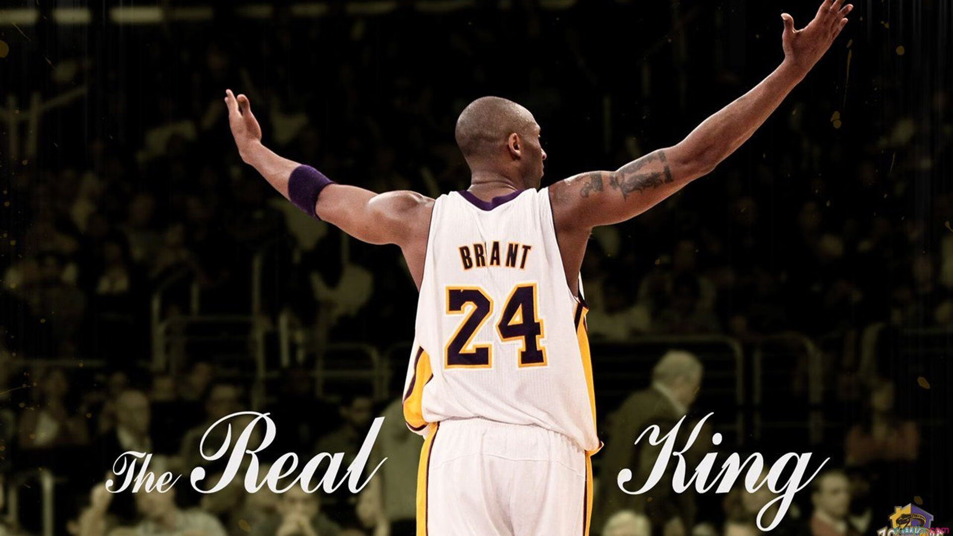 网球大满贯赛事最新报道